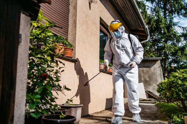 Best Best Pest Control Companies  in Cooper, TX
