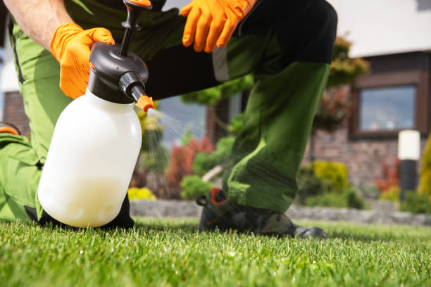 Best Local Pest Control Services  in Cooper, TX
