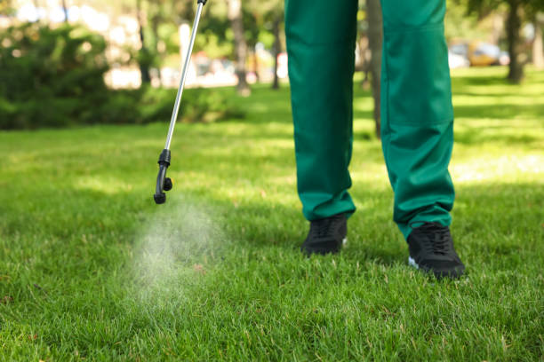 Best Mosquito Control Services  in Cooper, TX