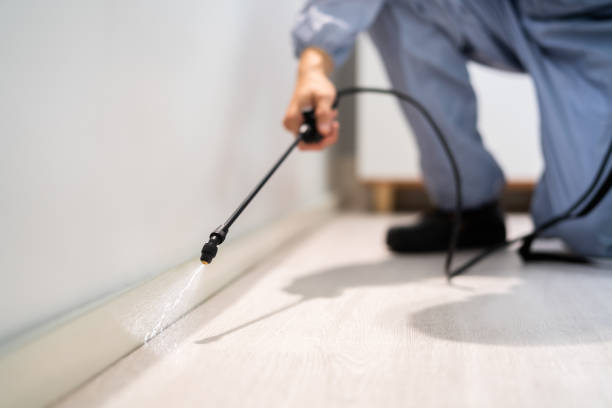 Pest Control Cost in Cooper, TX