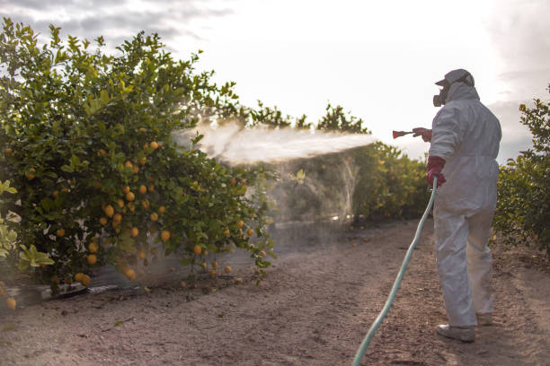 Best Pest Inspection Near Me  in Cooper, TX