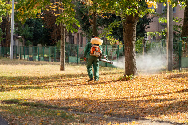 Best Affordable Pest Control Services  in Cooper, TX