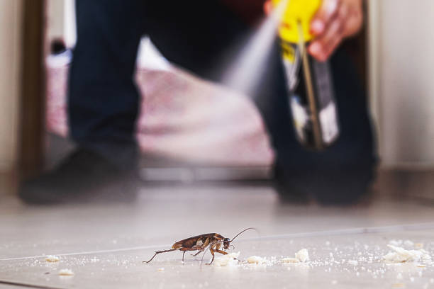 Cooper, TX Pest Control Company