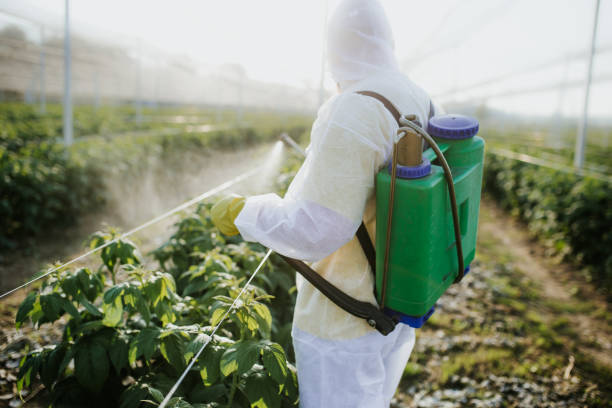 Best Insect Control  in Cooper, TX